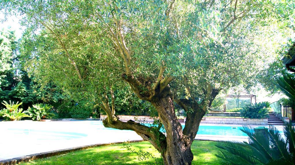 Agriturismo La Colombaia Capua Kültér fotó